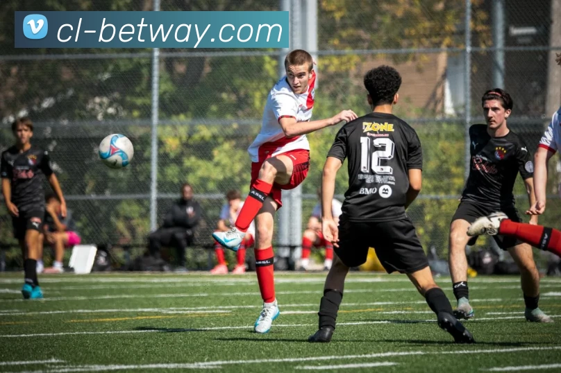 必威BETWAY官网平台生态图